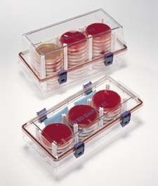 BD GasPak EZ Container Systems BD Diagnostics  Incubation Container Rack Standard