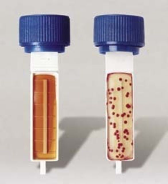 BD Hycheck Paddles for Monitoring Production Environments BD Diagnostics  Hycheck For Enterobacteriaceae