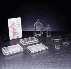BD Primaria Treated Labware Sterile BD Biosciences  Culture Flasks With Vented Caps 75 cm2 Straight Neck