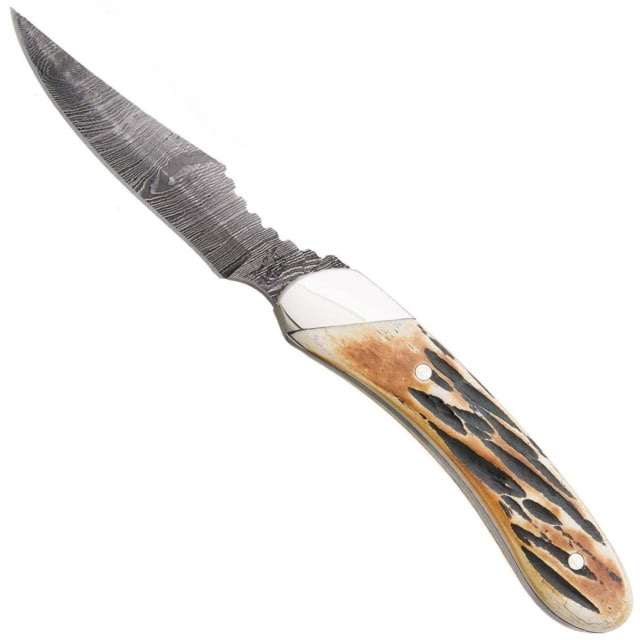Bear and Son Knives Caper Fixed Blade Knife 2.5in Damascus Steel Genuine India Stag Bone Handle w/Leather Sheath - Bear And Son Knives
