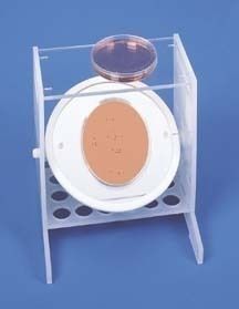 Bel-Art Petri Dish Reader Loupe SCIENCEWARE - Bel-Art