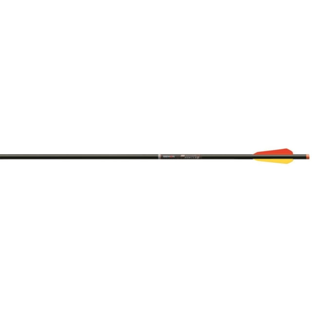 Beman ICS Hunter Bolts Flat Nock 22 in. 6 pk.