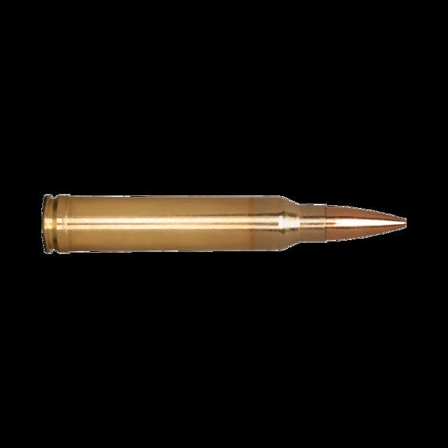 ger Classic Hunter .300 Winchester Magnum 185 Grain Classic Hunter Brass Cased Centerfire Rifle 20 Rounds Ammo