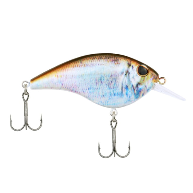 Berkley Frittside Hard Bait Crankbait 5 1/3oz 2 1/4in / 5 3/4cm 2ft-5ft / 0.5-1.5m Hook Size 6 2 Hooks HD Blueback Herring 5