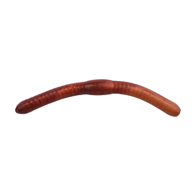 Berkley Gulp Alive Fat Floating Trout Worm 2in. Bait Nightcrawler