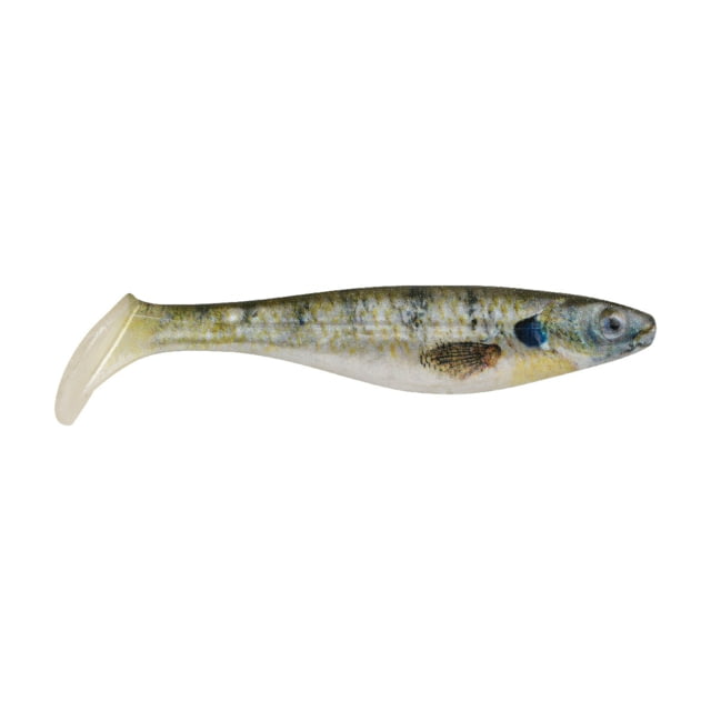 Berkley PowerBait Champ Swimmer Swimbaits 3in 8 Pack HD Bluegill