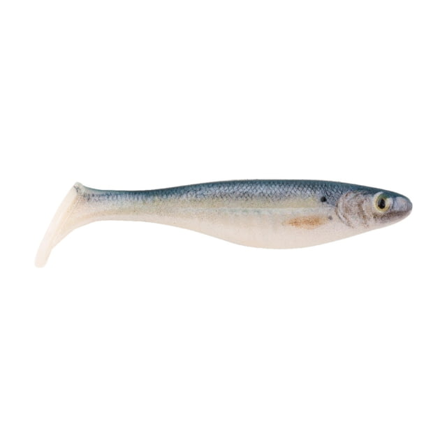 Berkley PowerBait Champ Swimmer Swimbaits 4.6in 5 Pack HD Blueback Herring