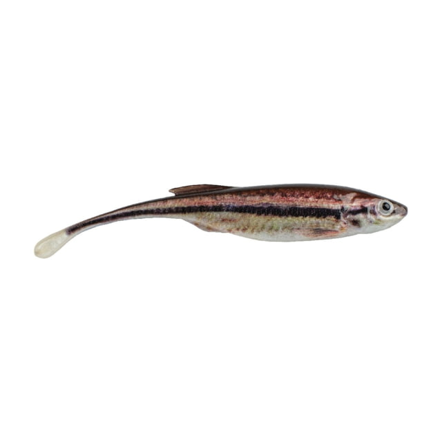 Berkley PowerBait Drip Minnow Soft Bait 3in 6 Pack HD Blacknose Shiner