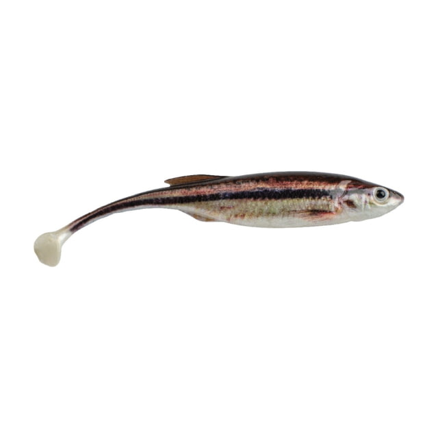 Berkley PowerBait Drip Swimmer Soft Bait 4in 5 Pack HD Blacknose Shiner