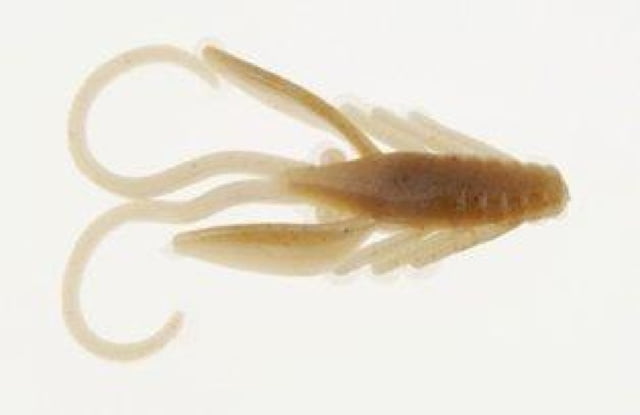 Berkley PowerBait Power Nymph Nymph 12 1in Toad