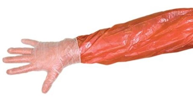 Muddy Field Dressing Glove Kit includes Sanitary Towelette Clear GP100