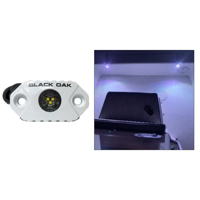 Black Oak LED Rock Accent LED Light White Housing White - Black Oak Led