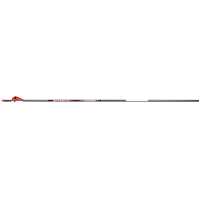 BloodSport Judgement Arrows 400 2 in. Vane 6 pk. - Bloodsport
