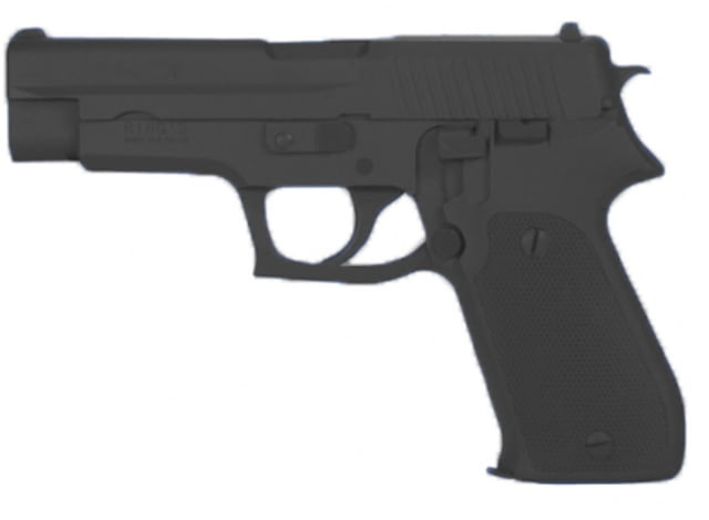 Blueguns SIG Sauer P220 Training Guns Not Weighted No Light/Laser Attachment Handgun Black - Blueguns