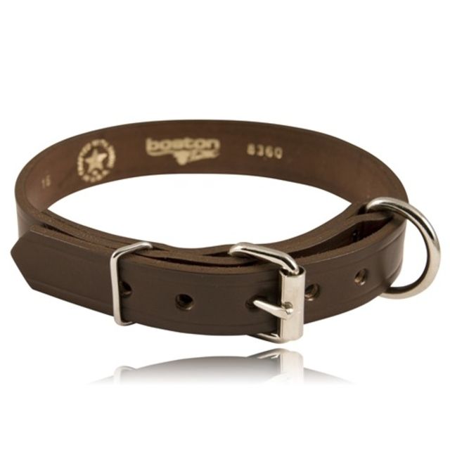 Boston Leather 1 Single Ply K-9 Collar - Boston Leather