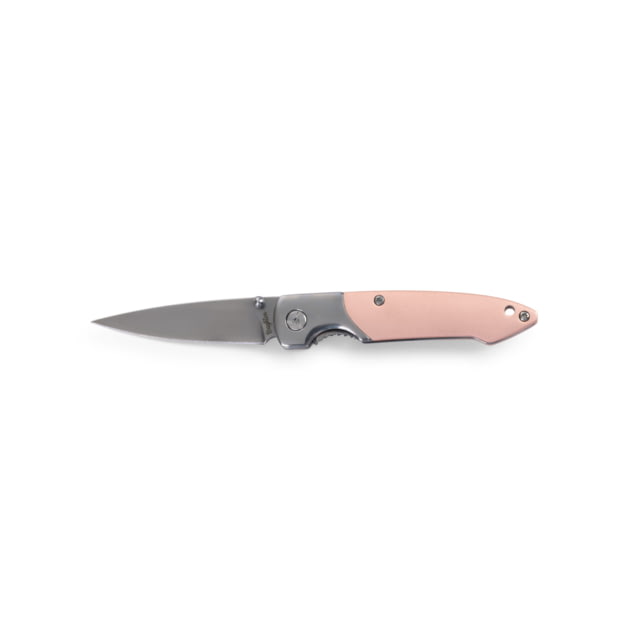 Brighten Blades Floyd Not So Heavy Metal Knife w/Case 2.5in 8Cr13MoV Stainless Steel Drop Point Gray - Brighten Blades