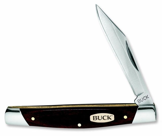 Buck Knives Solo 2 14in. Blade 420J2 Stainless 0379BRS