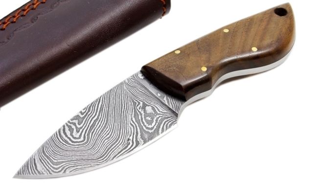 BucknBear BNB- Mini Skinner Fixed Knife - Bucknbear