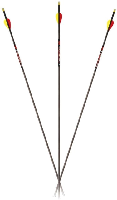 Carbon Express Predator SD 300 12-pack Shafts - Carbon Express