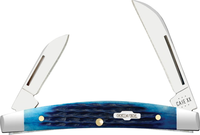 Case Small Congress Blue Bone Folding Knife 3.13in Closed SS Mirror Sheepsfoot/Pen Blades Blue Jigged Bone Handle - Case