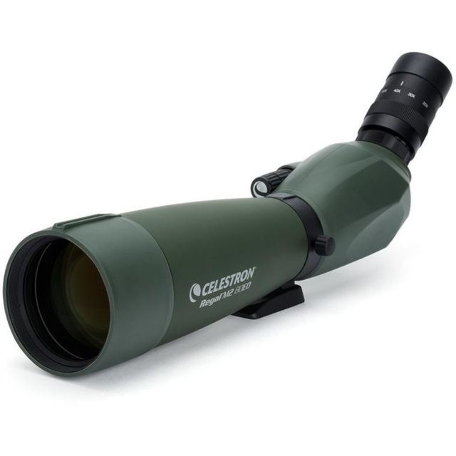 Celestron Regal M2 80ED Spotting Scope - Celestron