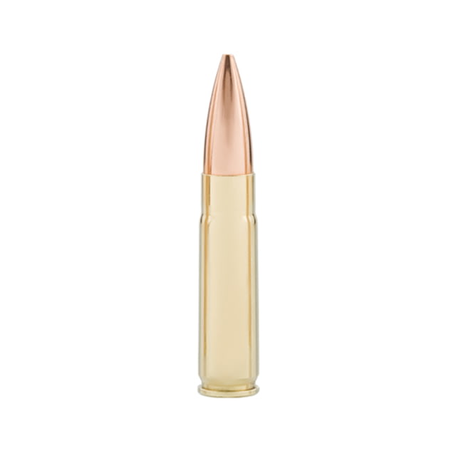  Bon 300 AAC Blackout 110 Grain Jacketed Hollow Point -DPX Brass Cased Pistol 20 Rounds Ammo
