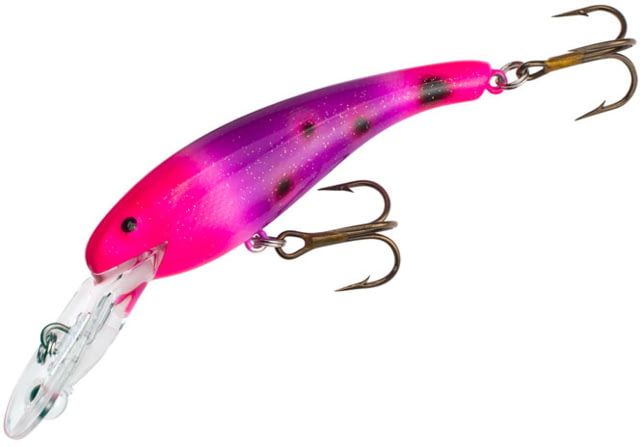 Cotton Cordell Wally Diver 2 1/2 in 1/4 oz Crankbait Purple Salamander