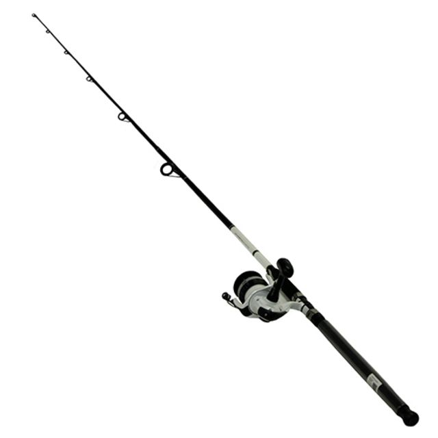 Daiwa D-Wave Saltwater Rod and Reel Combo - 1BB 9ft Medium 2 Pieces