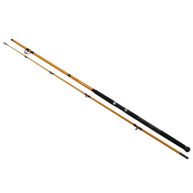 Daiwa FT Surf Spinning Rod 10ft Medium Fast 2 Pieces