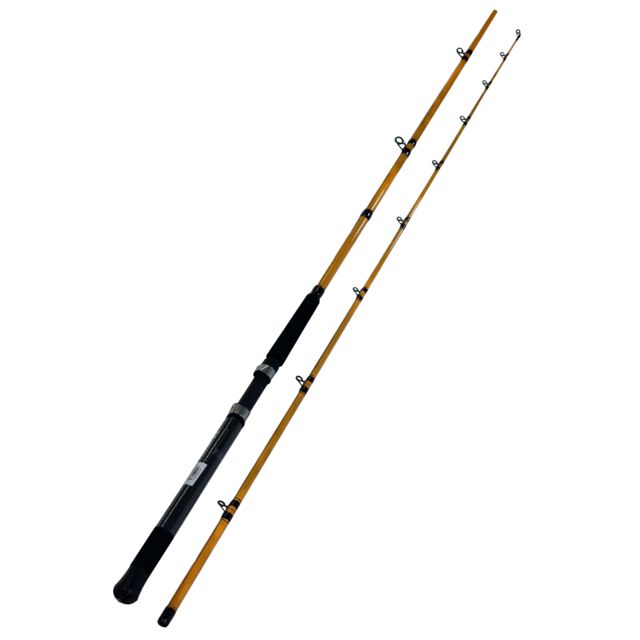 Daiwa FT Boat Trolling Rod 9ft6 Medium Heavy Fast 2 Pieces