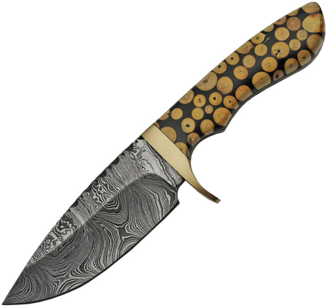 Damascus Fixed Blade Knotted Wood Knife 4.25" Damascus steel blade Knotted wood and black resin handle - Damascus