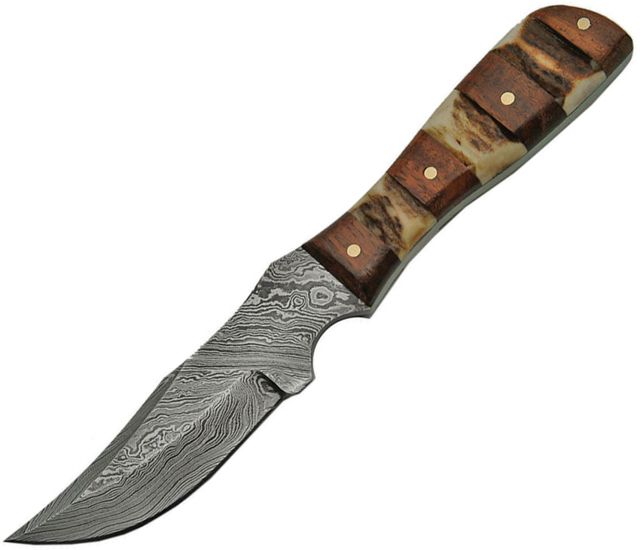 Damascus Mini Stag Wood Handle Fixed Blade Knife 3.25in Damascus Steel Clip Point Stag Bone and Wood Handle - Damascus