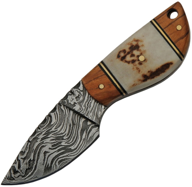 Damascus Wild Stag Skinner Knife 2.5" Damascus steel blade Stag bone and olive wood handle - Damascus