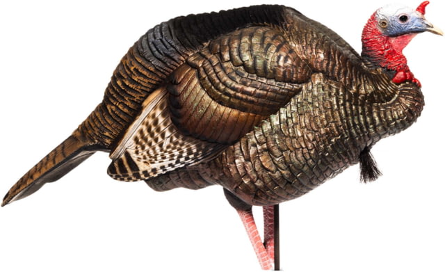 Dave Smith Decoys 3/4 Strut Jake Decoy Standard