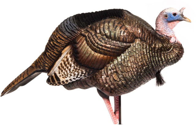 Dave Smith Decoys 3/4 Strut Jake Decoy White