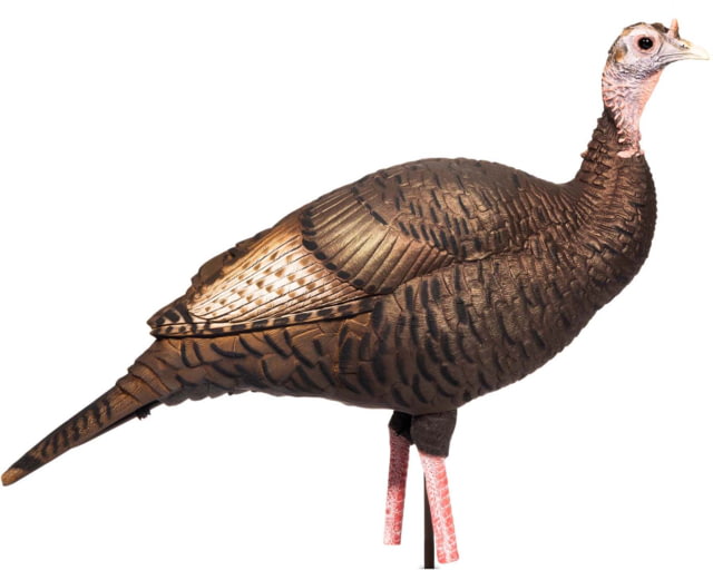 Dave Smith Decoys Upright Hen Decoy Black