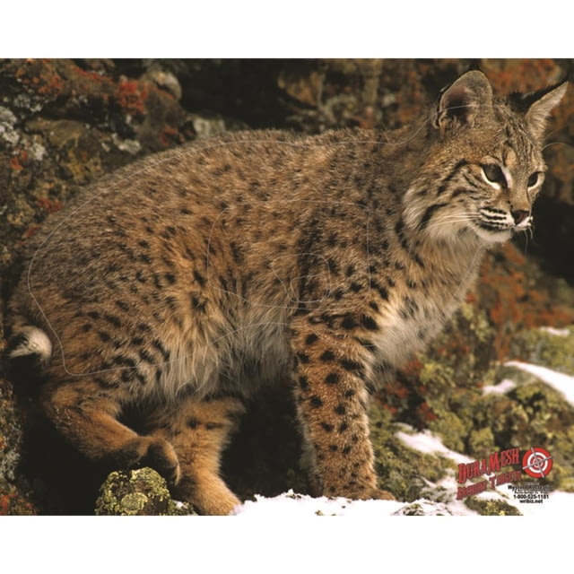 DuraMesh Archery Target Bobcat 25 in. x 32 in. Brown - Duramesh
