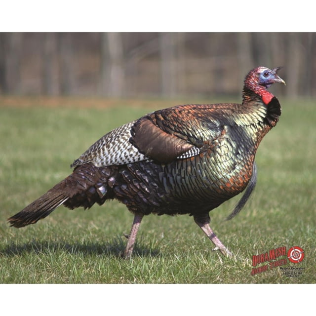DuraMesh Archery Target Turkey 25 in. x 32 in. Black - Duramesh