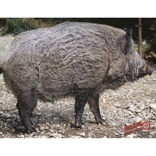 DuraMesh Archery Target Wild Boar 25 in. x 32 in. - Duramesh