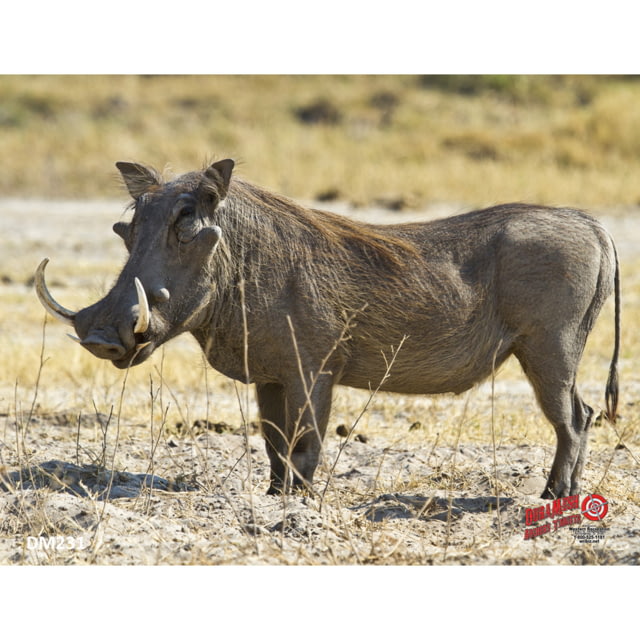DuraMesh Archery Target Warthog Multi 25 x 32in - Duramesh