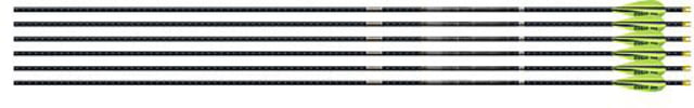 Easton 4mm Fmj Match Grade 300 6-pack W/ 3'' Aae Hybrid Vanes - Easton