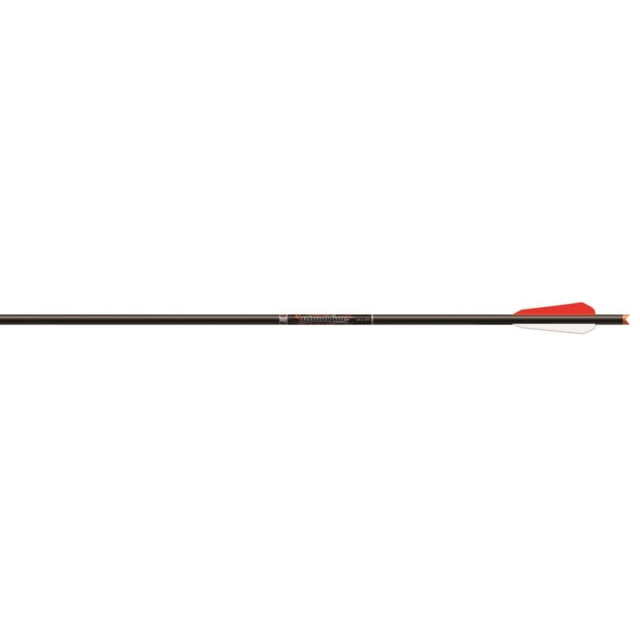 Easton Bloodline Bolts Brass Insert Moon 22 in. 6 pk. - Easton
