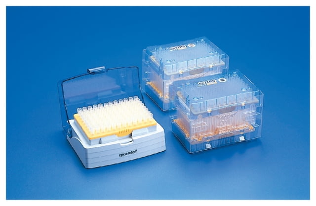Eppendorf Eptips Pipet Tips 0