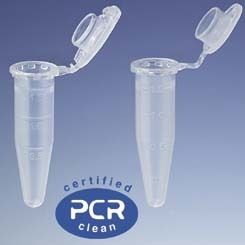 Eppendorf Tube Pcr Microcent 1.5ML PK500 0