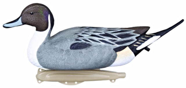 Flambeau Classic Pintail Decoy Color 1 : Grey/:Black