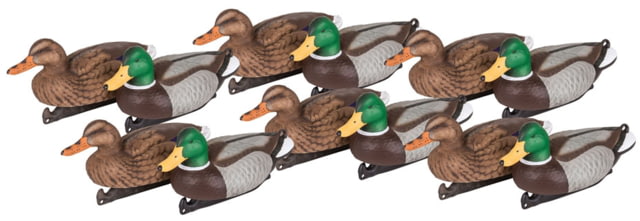 Flambeau Master Series Mallard Floater Decoys Color 1 : Multi - Flambeau
