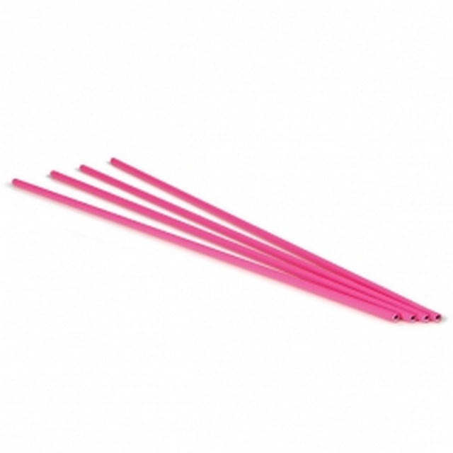 EVI-PAQ Small Caliber .22 Protrusion Rods - 1007801 - Forensics Source
