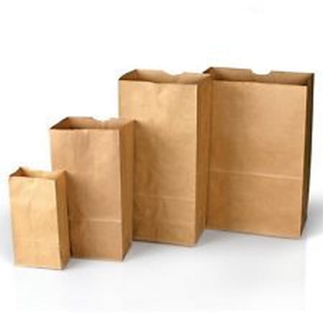 Forensics Source Plain Paper Bags Style 12100 - Forensics Source