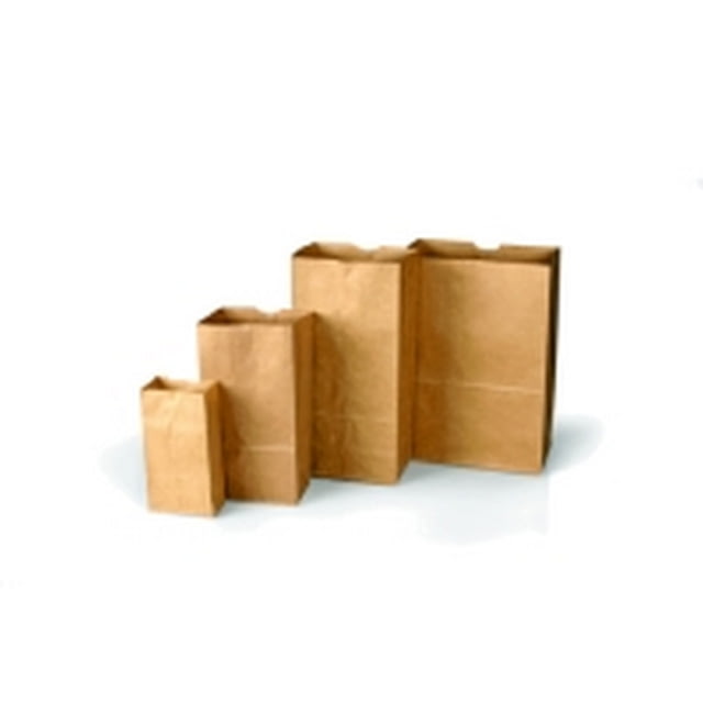 Forensics Source Plain Paper Bags Style 25100 - Forensics Source