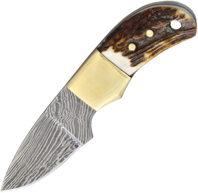 Fox-N-Hound Mini Skinner Damascus Knife 1.75" Damascus steel blade Stag bone handle # 22 / FH121 - Fox-N-Hound
